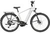 PEGASUS PREMIO EVO 10 Lite arctic silver 28 Zoll L