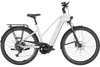 PEGASUS PREMIO EVO 10 Lite arctic silver 28 Zoll S