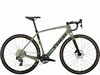 Trek Checkpoint SL 6 AXS 61 Lichen Green